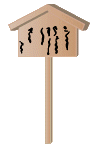 board