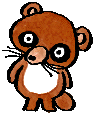 raccoon