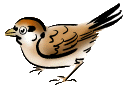 The Sparrow