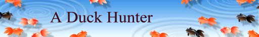  A Duck Hunter 