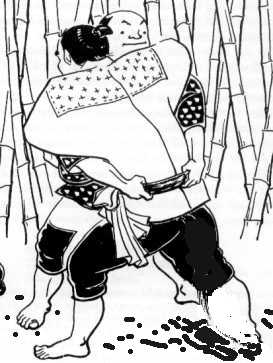 sumo