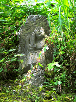 nobotoke1