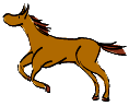 horse