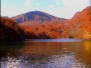 akanuma