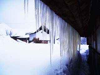 winter