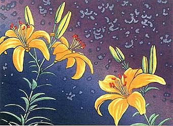 lily