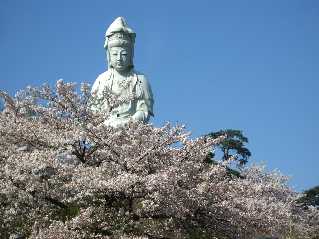kannon