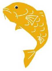 carp