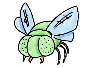 fly