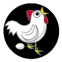 cock