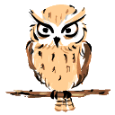owl