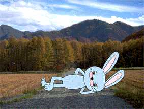 neusagi