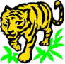 tora