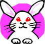 usagi