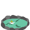 pond