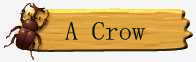 Crow