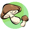 mushroom