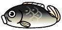 carp
