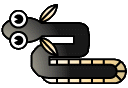 eel
