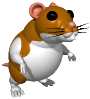 mouse