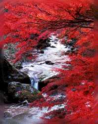 river