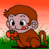 monkey