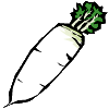 radish