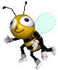 bee