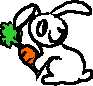 rabbit