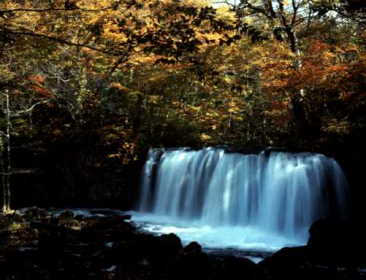 fall