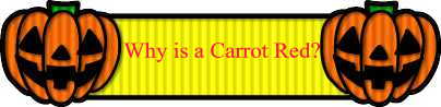 Why is a Carrot Red?