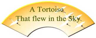 A Tortoise That flew in the Sky