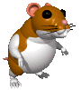 mouse