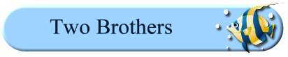 Two Brothers