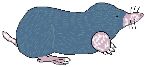 mole