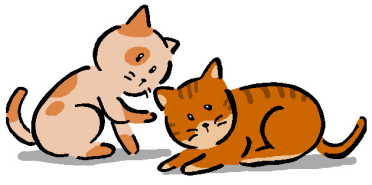 cats