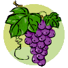 grape