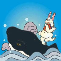 rabbit on the shark