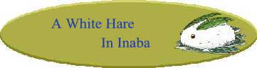 A White Hare in Inaba
