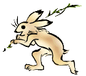 Hare