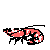 lobster