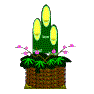 kadomatu