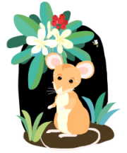 mouse