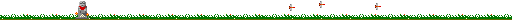 zizo