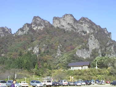 miyogi
