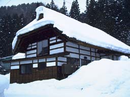 Winter house