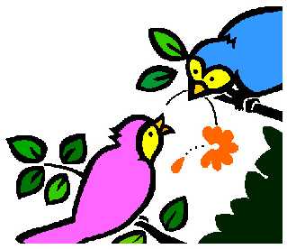 bird