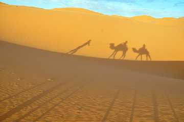 desert