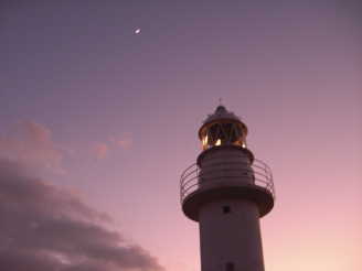 funauta
