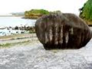 hamachidori